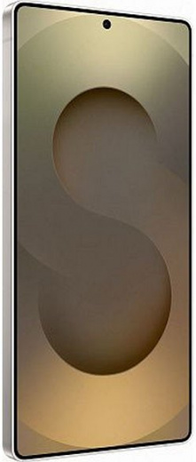 Samsung Galaxy S25 Ultra 12/512Gb Global Titanium Gray