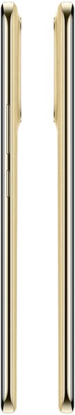 Realme 16 Pro+ 12/512Gb RU Master Gold