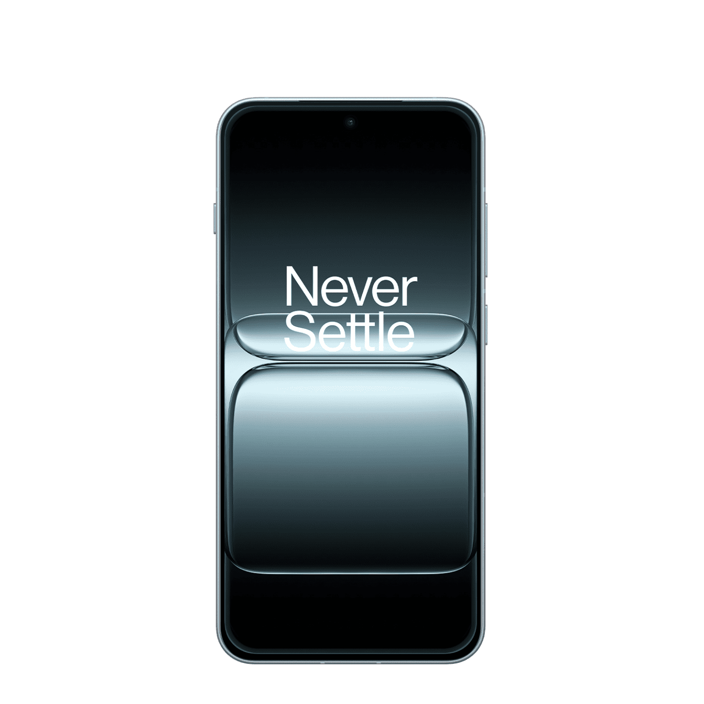 OnePlus 13T 16/256Gb Gray
