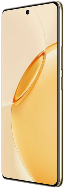 Realme 16 Pro+ 12/512Gb RU Master Gold