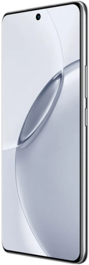 Realme 16 Pro+ 8/256Gb RU Master Grey